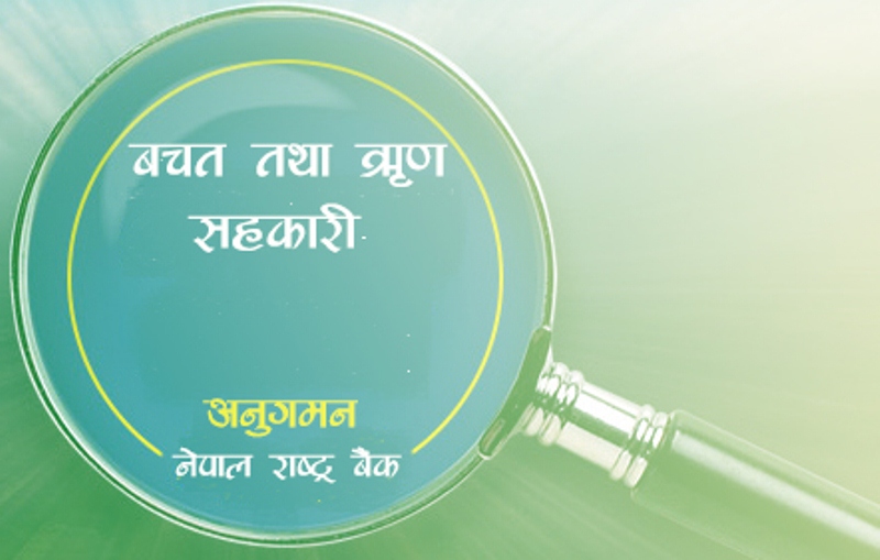 बचत सहकारीको अनुगमन राष्ट्र बैंकमार्फत गर्न सुझाव